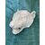 Calco Gesso Leone