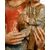 XVI secolo, scuola francese, Madonna con il Bambino
