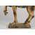 Scultura raffigurante “ Cavallo “ Firenze - epoca sec . XVIII’