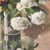 DIPINTI ANTICHI CON FIORI DI ROSE ROSA E PALLON DI MAGGIO, NATURE MORTE, OLIO SU TELA, XX. (QF677)