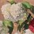 DIPINTI ANTICHI CON FIORI DI ROSE ROSA E PALLON DI MAGGIO, NATURE MORTE, OLIO SU TELA, XX. (QF677)
