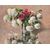 DIPINTI ANTICHI CON FIORI DI ROSE ROSA E PALLON DI MAGGIO, NATURE MORTE, OLIO SU TELA, XX. (QF677)
