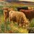 Pittore inglese (fine XIX sec.) - Paesaggio con mandria di Highlands al lago.