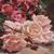 QUADRI ANTICHI, NATURA MORTA CON FIORI DI ROSE ROSSE E BIANCHE RECISE, OLIO SU TELA, DELL'800. (QF678)