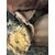 Coppia di teche decorative in vetro