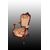 Pair of Louis Philippe armchairs from the 1800s in rosewood