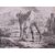 Coppia stampe cavalli di epoca fiamminga - ST/298 -