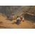 Antique English painting from the 1800s, oil on canvas, depicting a mountain landscape with a lake.