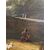 BARTOLOMEO PEDON LANDSCAPE