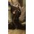 Giovanni Battista Pittoni "Madonna con il Bambino e Santi"