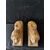 Spettacolare coppia di Leoni stile gotico, portalume - Venezia - 37x13 cm