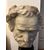 Head of Giuseppe Verdi in white marble