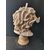 Bellissimo busto a tuttotondo in marmo di Carrara - Medusa con volto di Teschio - H 66 cm