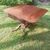 English living room table