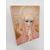 Ceramic bas-relief Madonna in prayer - Essevi - 50s/60s - perfect