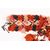 Striscia per cavallo - n.998 -