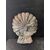 Elegante Acquasantiera Veneziana in marmo - 36 x 29 cm