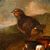 Scuola emiliana, XVIII secolo, Coppia di nature vive con volatili