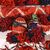 Striscia imbottita per cavallo nomade - n. 1003 -