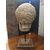 Head of Capitoline Antinous