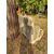 Meravigliosa ed esclusiva panchina in marmo - 170 x 59 cm