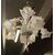 LAMP248 - Elegante lampadario in vetro di Murano, epoca '8/'900, misure diametro cm 80 x H 90