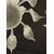 LAMP247 - Coppia di lampadari in vetro lavorato, epoca '900, misure diametro cm 60 x H 60