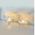 Angelo Mangiarotti's Sphere style table lamps for Skipper