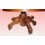 1800s French Louis Philippe style table with walnut wood griffins