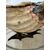 Scultura di uccello in argento e conchiglia
