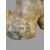 Terracotta sculpture "G. Picano"