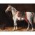 Emil Volkers (Birkenfeld, 1831 - Dusseldorf, 1905), attr., Coppia di cavalli