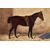 Emil Volkers (Birkenfeld, 1831 - Dusseldorf, 1905), attr., Coppia di cavalli