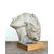 Female plaster head – Giuseppe Siccardi, Bergamo, early 20th century