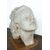 Female plaster head – Giuseppe Siccardi, Bergamo, early 20th century