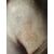 Ecce Homo