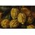 Circle of Giovanni Battista Ruoppolo (Naples, 1629 – 1697), Still Life with Fruit and Bird