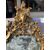 Pair of carved and gilded wooden mirrors. Italy, 18th century.