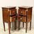 Antique pair of Directory bedside tables in walnut - "Retour d'Egypte" 1798/1805 Italy