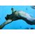 Oil on canvas, male nude by Filippo Manfroni