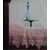 ZUBER Tulle Curtain - B/1649 -