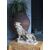 Alabaster animal sculpture: Panther, early 20th century