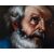 The Repentance of Saint Peter
