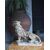 Alabaster animal sculpture: Panther, early 20th century