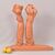 SCULTURE ART DECO IN TERRACOTTA, DONNE CON ANFORA, AMEDEO GENNARELLI, SCULTORE ITALIANO. (STTE98)
