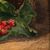 Octave Cartel (Belga, 1884 - 1944) - Natura morta di fragole.