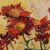 QUADRI ANTICHI, ART DECO, NATURA MORTA, FIORI DI MARGHERITE ROSSE, OLIO SU TELA, XX SECOLO. (QF690)