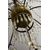 Large Genoese Chandelier from the 18th century - O/5994