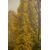 Large antique Spring-Summer landscape painting, also suitable as a sliding door - O/7362