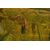 Large antique Spring-Summer landscape painting, also suitable as a sliding door - O/7362